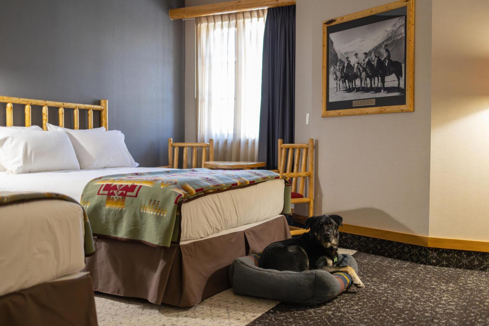Brewster Mountain Lodge Banff Esterno foto